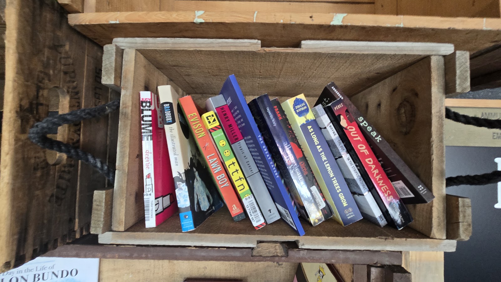 A wooden crate shelf packed with colorful spines of frequently-banned books